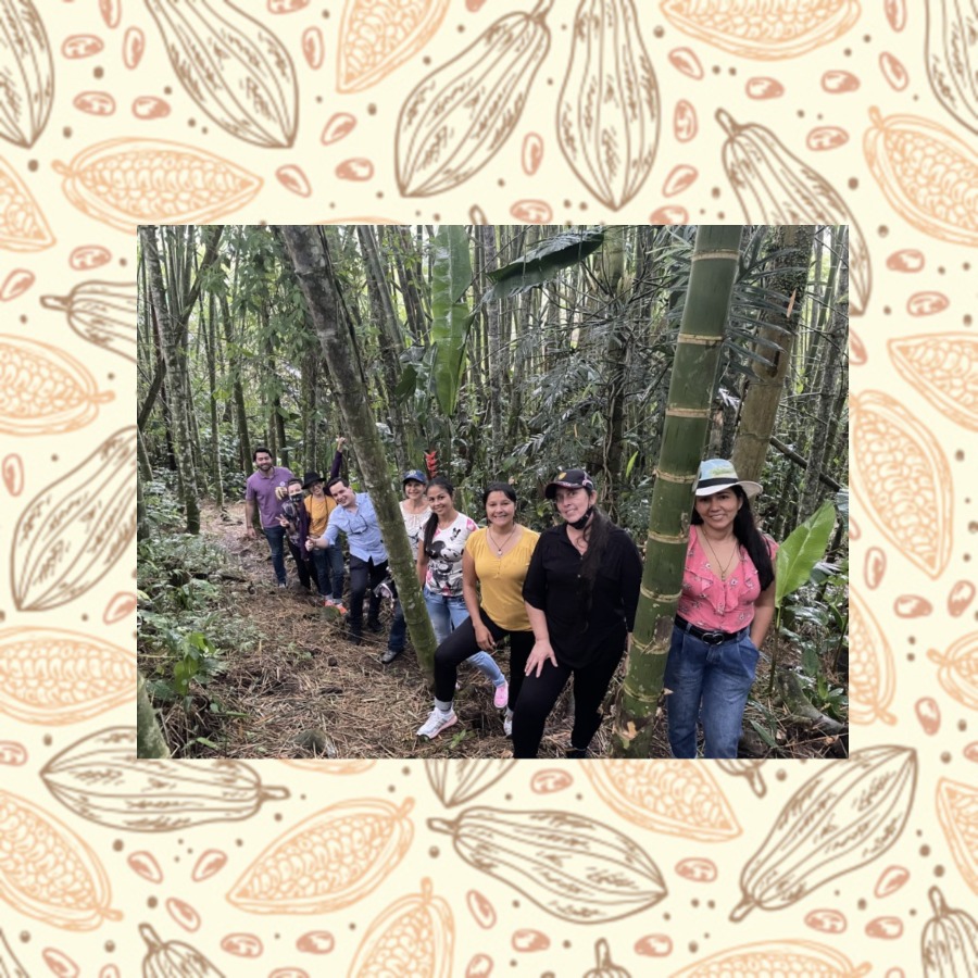 RECORRIDO ACADEMICO Y PEDAGOGICO DEL CACAO